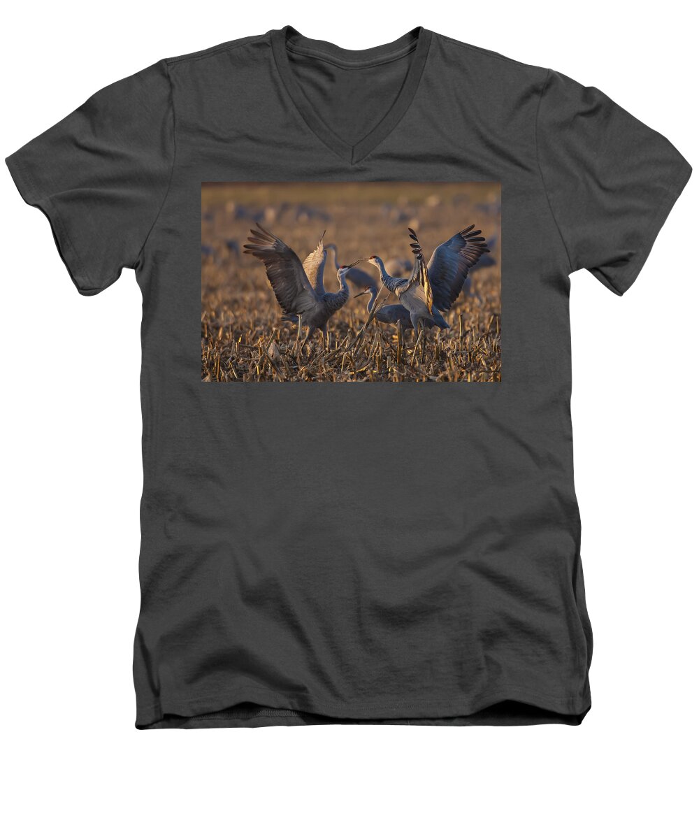Animals Men's V-Neck T-Shirt featuring the photograph Kissing Sandhills by Jack R Perry