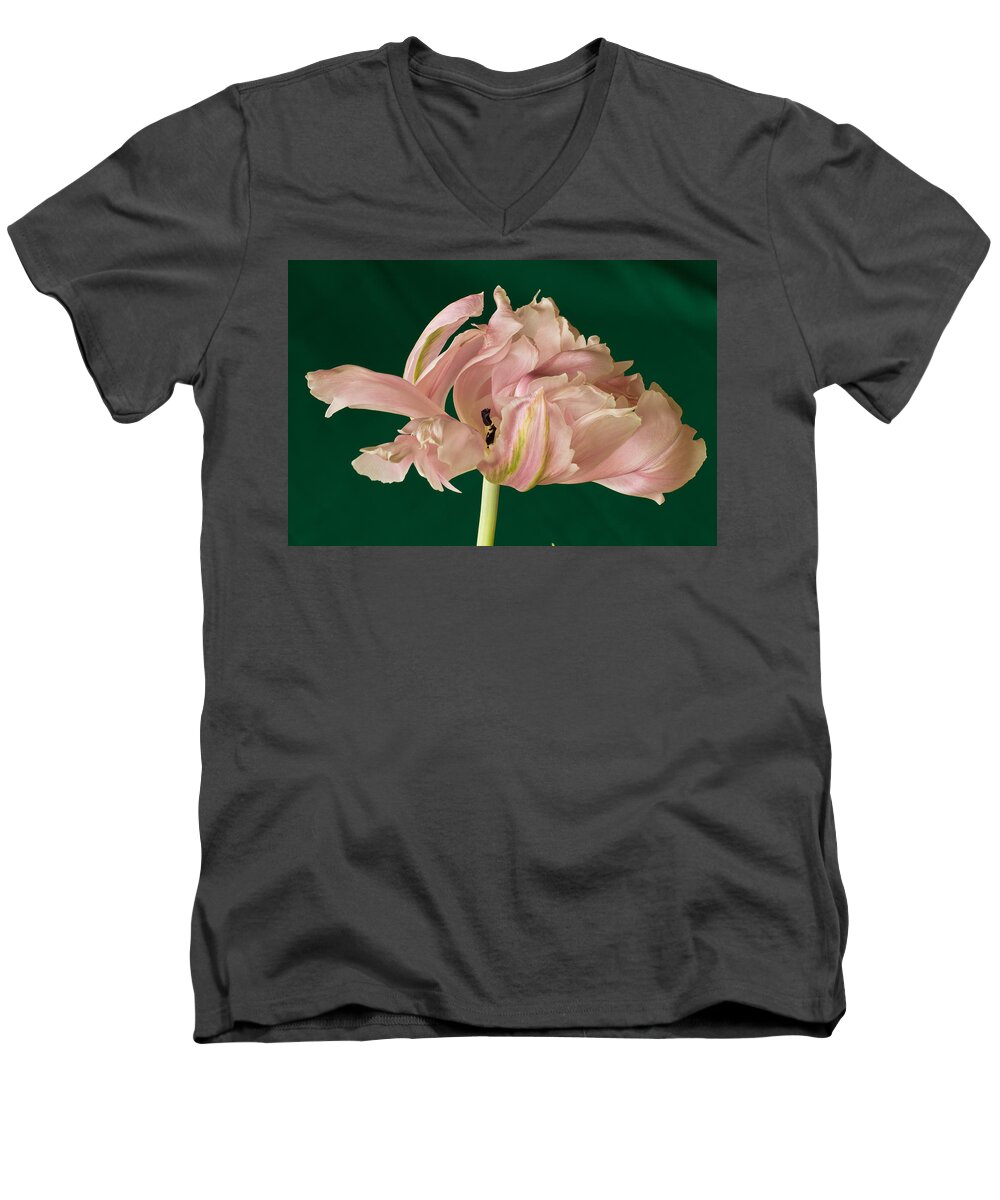Macro Men's V-Neck T-Shirt featuring the photograph Lacey Tulip by Patricia Schaefer