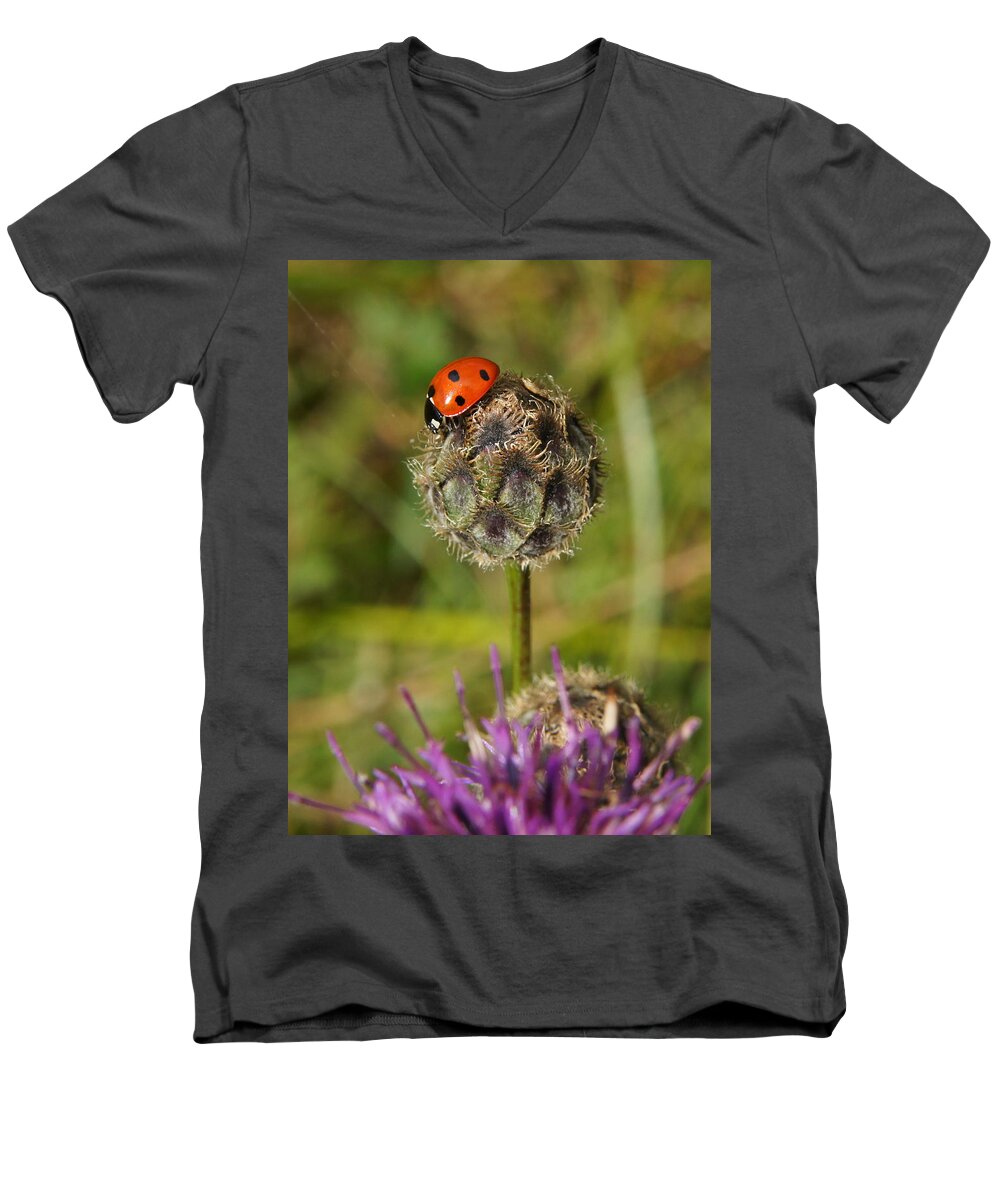 Ladybird Men's V-Neck T-Shirt featuring the digital art Ladybird by Ron Harpham