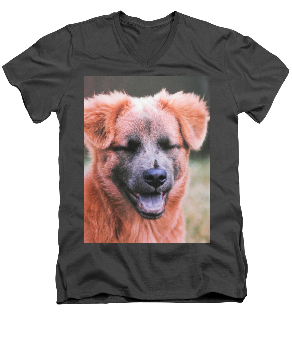 This Dog Men's V-Neck T-Shirt featuring the photograph Laughing Dog by Belinda Lee