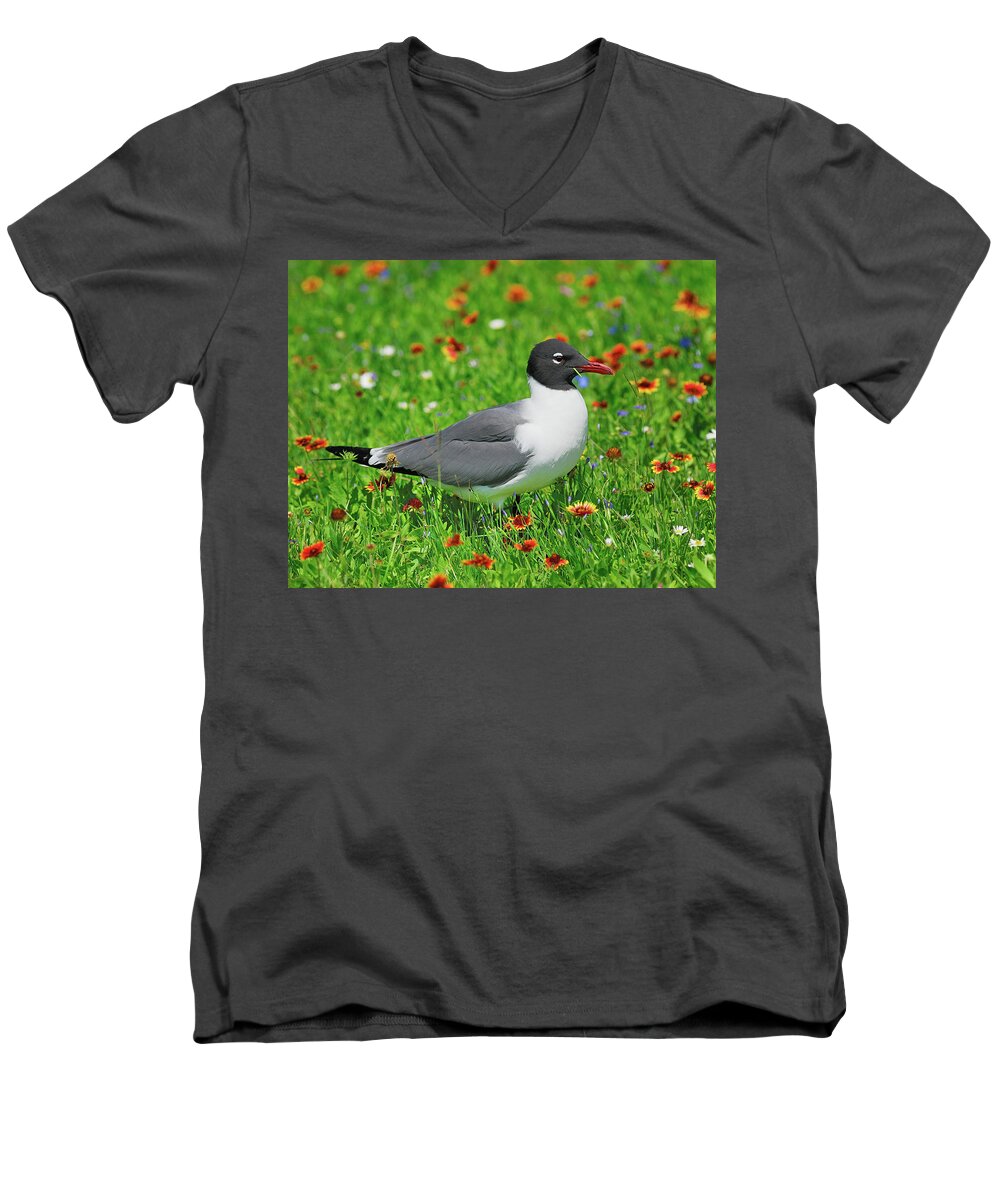 Laughing Gull Men's V-Neck T-Shirt featuring the photograph Laughing Gull by Tony Beck