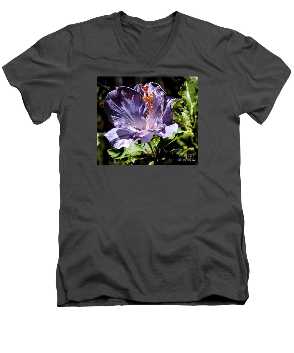 Fine Art Photography Men's V-Neck T-Shirt featuring the photograph Lavender Hibiscus by Patricia Griffin Brett