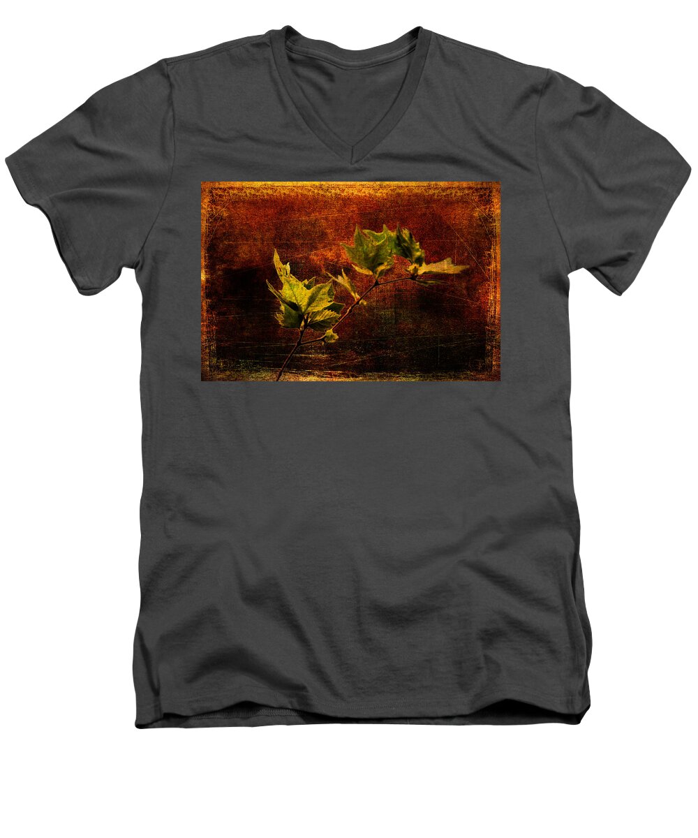 Branch Men's V-Neck T-Shirt featuring the photograph Leaves on texture by Roberto Pagani
