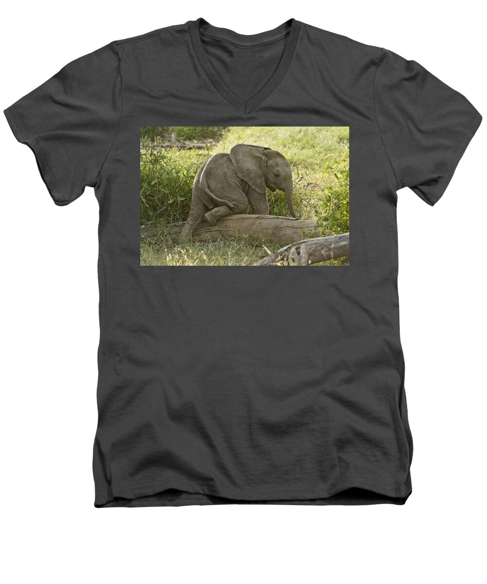 Africa Men's V-Neck T-Shirt featuring the photograph Little Elephant Big Log by Michele Burgess