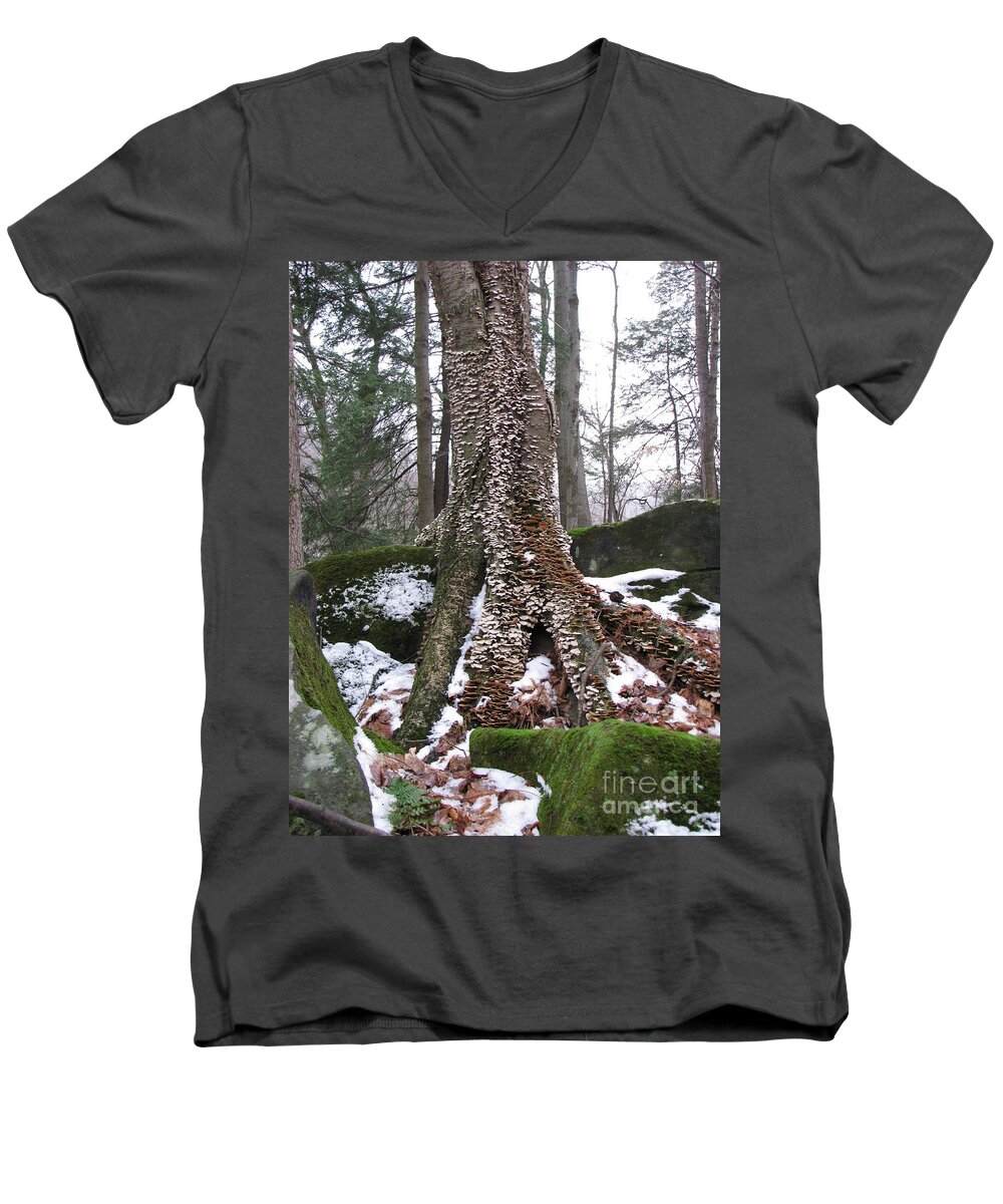 Tinker's Creek Men's V-Neck T-Shirt featuring the photograph Living Together 2 by Michael Krek