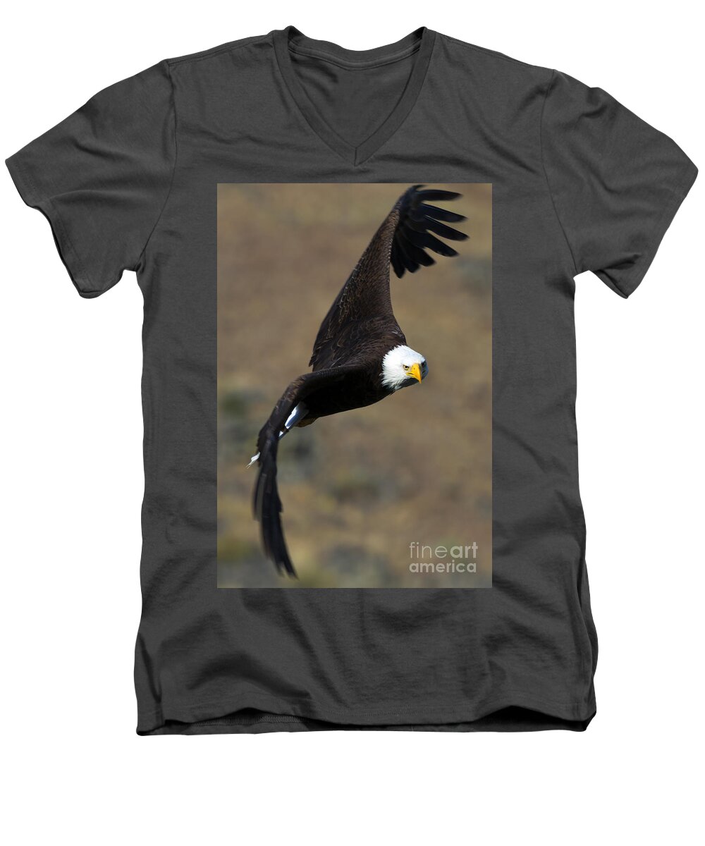 Bald Eagle Men's V-Neck T-Shirt featuring the photograph Locked In by Michael Dawson