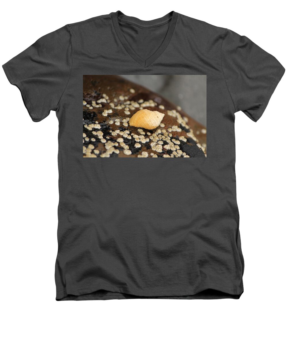Still Life Men's V-Neck T-Shirt featuring the photograph Lone Snail by Michael Saunders