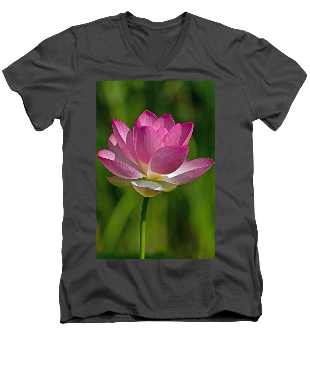 Lotus Men's V-Neck T-Shirt featuring the photograph Lotus Bloom by Jerry Gammon