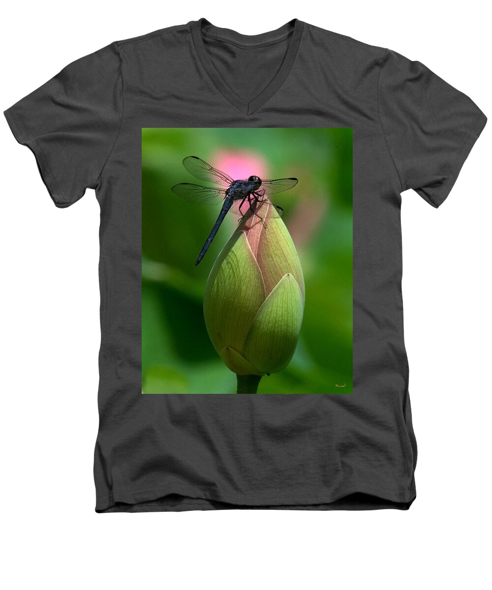Lotus Bud Men's V-Neck T-Shirt featuring the photograph Lotus Bud and Slatey Skimmer Dragonfly DL006 by Gerry Gantt