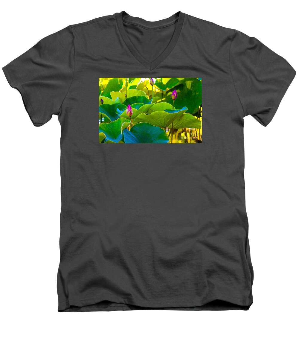 Lotus Pond Men's V-Neck T-Shirt featuring the photograph Lotus Garden by Roselynne Broussard