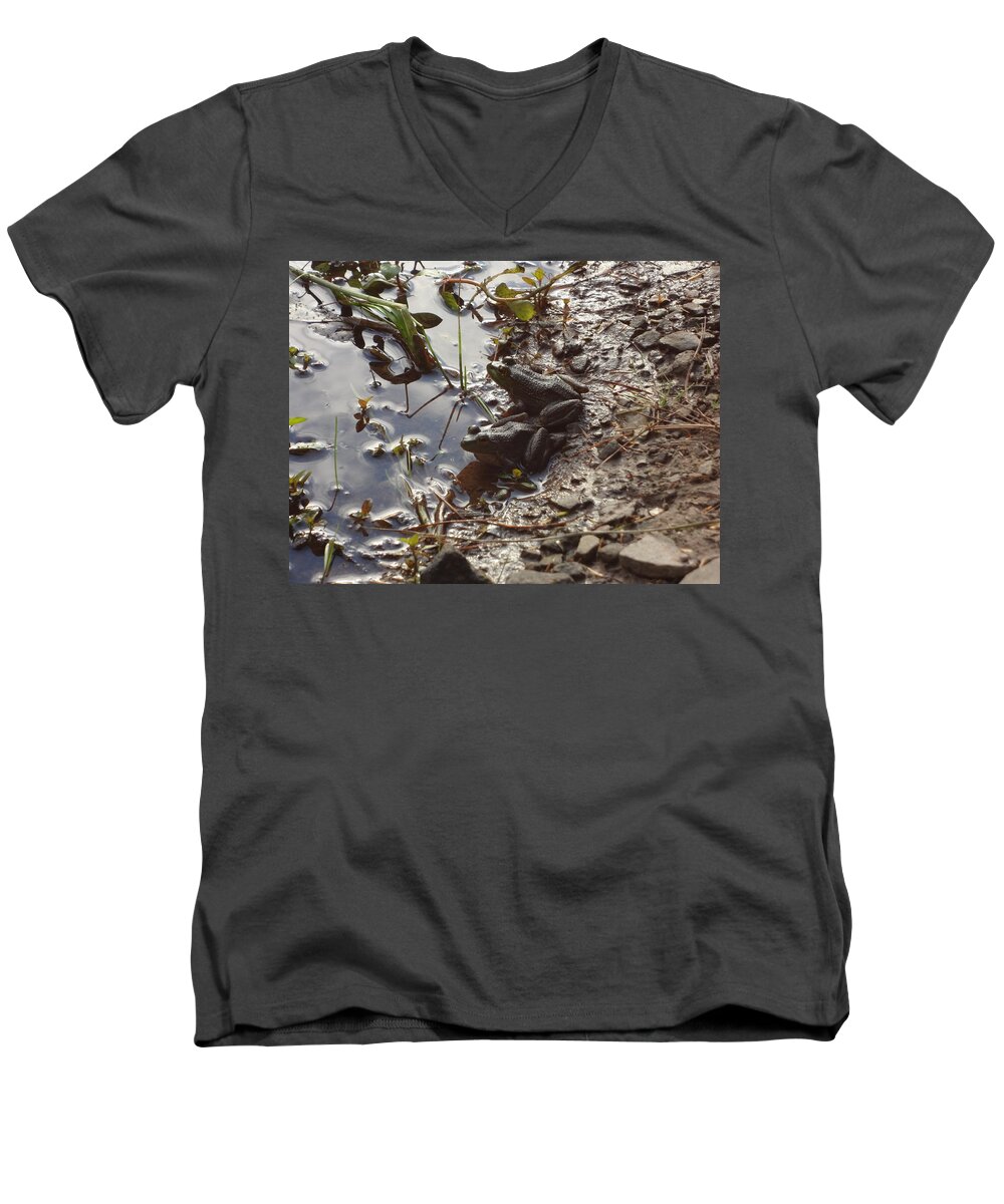 Frog Men's V-Neck T-Shirt featuring the photograph Love Frogs by Michael Porchik