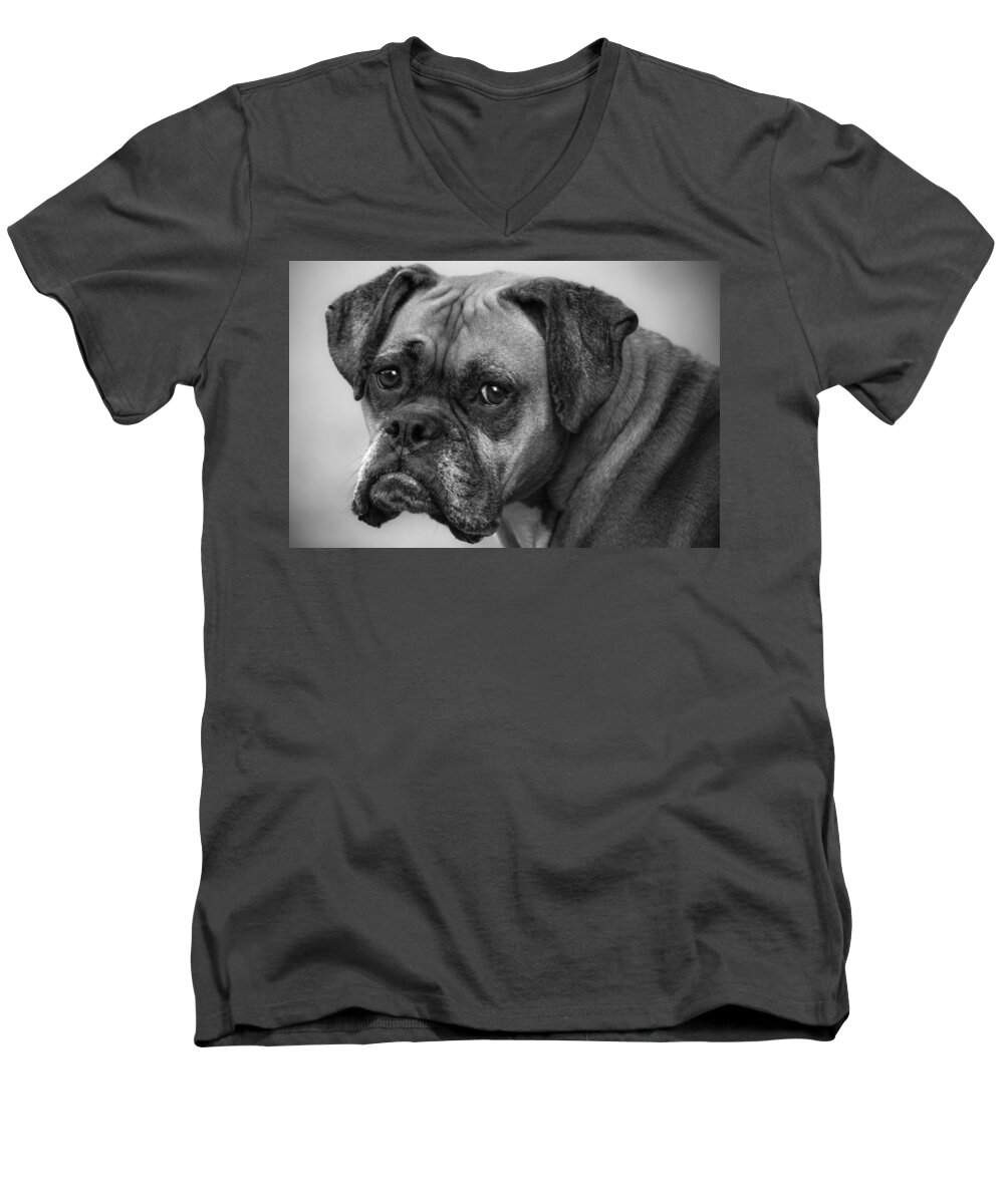Boxer Men's V-Neck T-Shirt featuring the photograph Macy by Jeff Mize