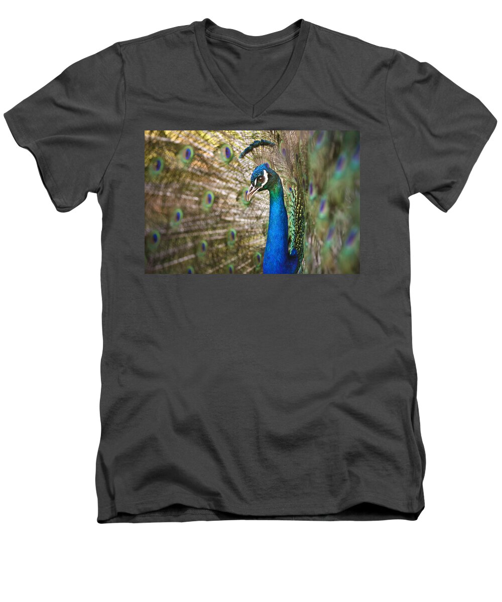 Hawaii Men's V-Neck T-Shirt featuring the photograph Male Peacock by John Magyar Photography
