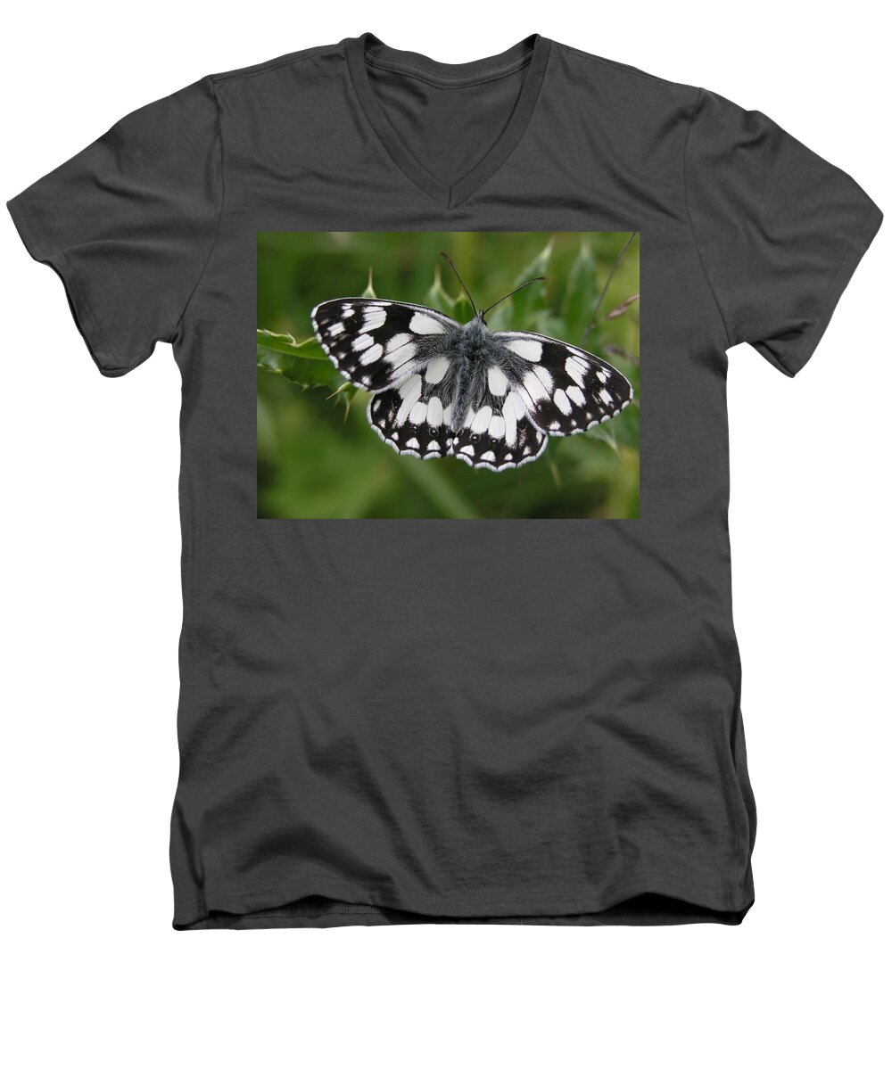 Butterfly Men's V-Neck T-Shirt featuring the photograph Marbled white by Ron Harpham