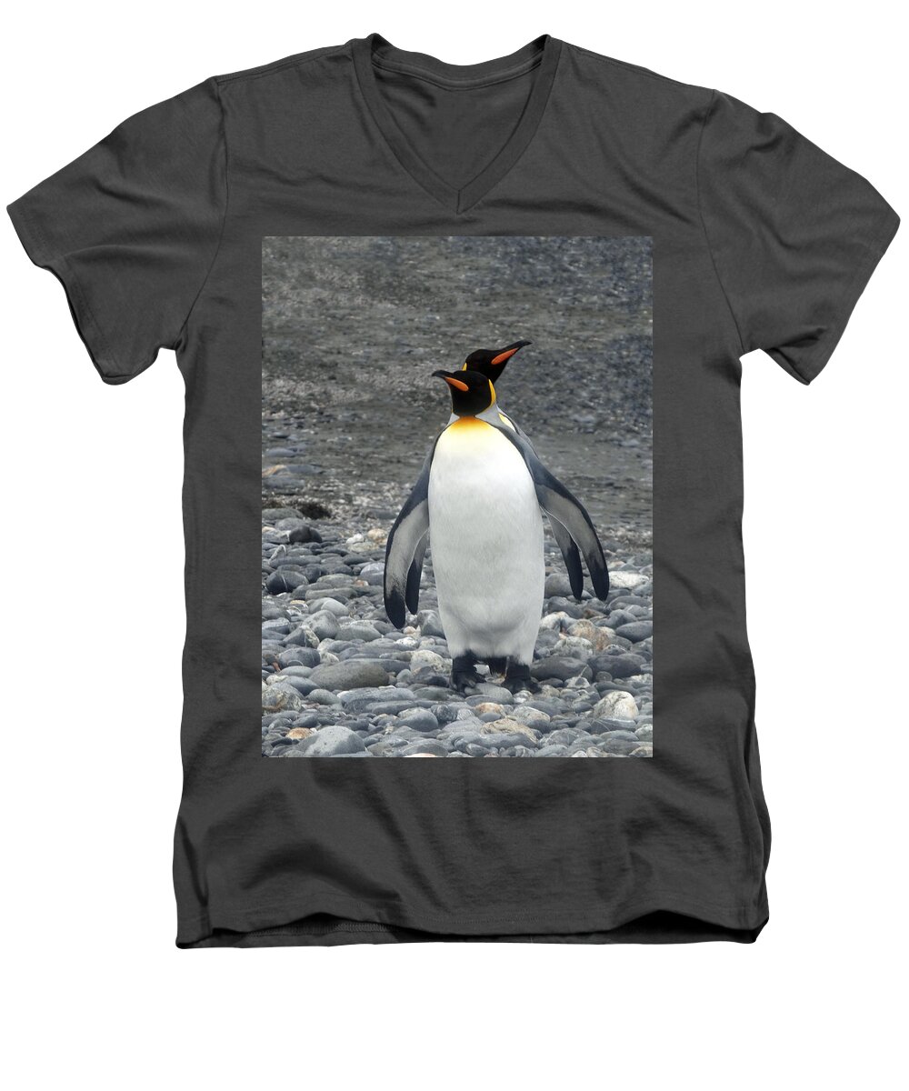 Penguins Men's V-Neck T-Shirt featuring the photograph Me And My Shadow by Ginny Barklow