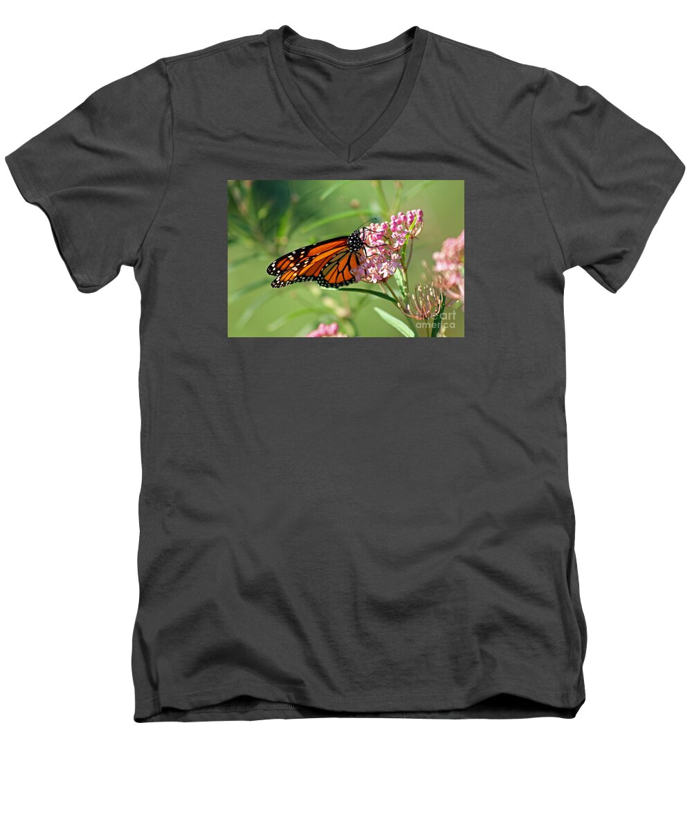 Monarch Men's V-Neck T-Shirt featuring the photograph Monarch Butterfly on Milkweed by Karen Adams