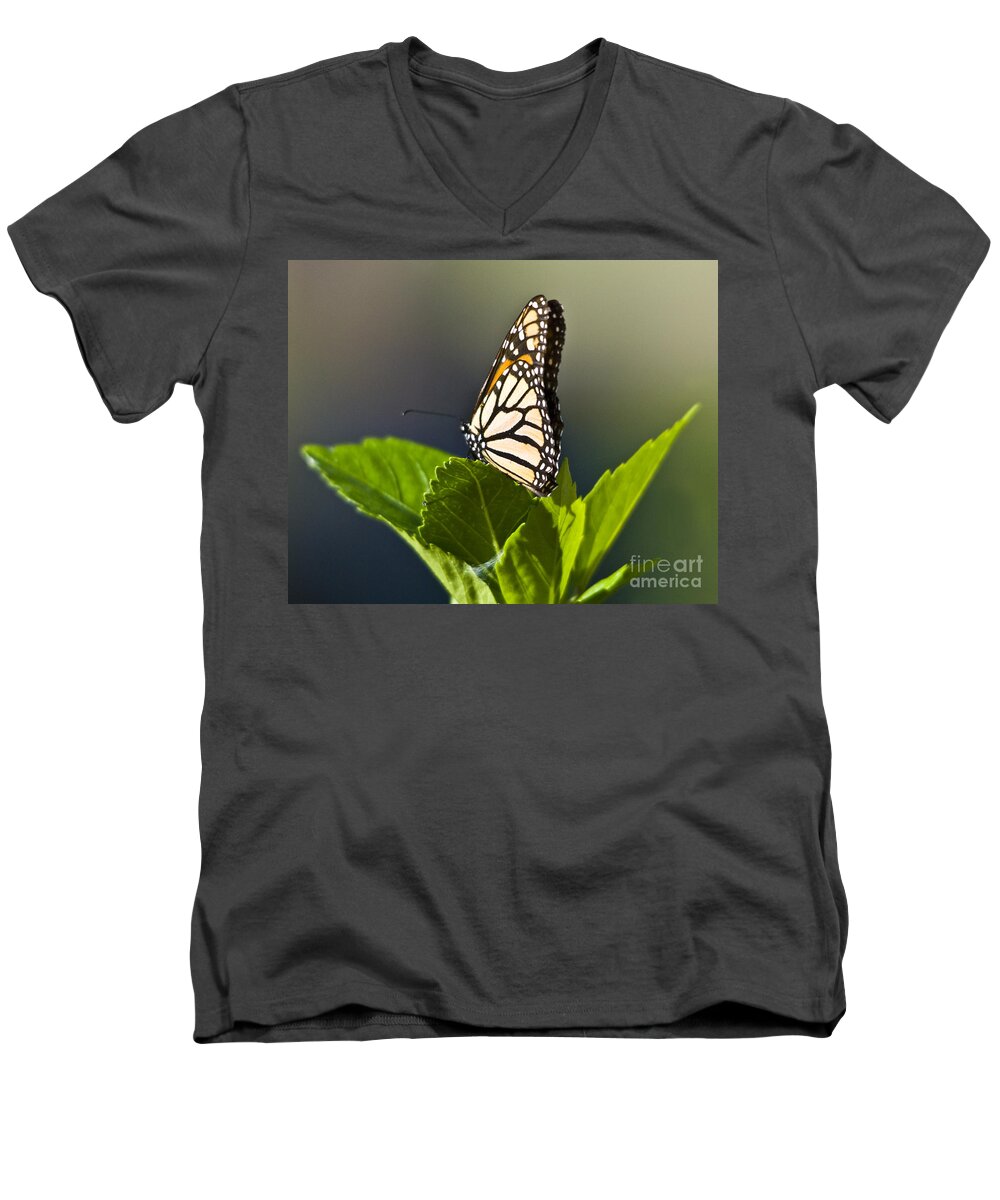 Monark Butterfly Men's V-Neck T-Shirt featuring the photograph Monark Butterfly No. 2 by John Greco