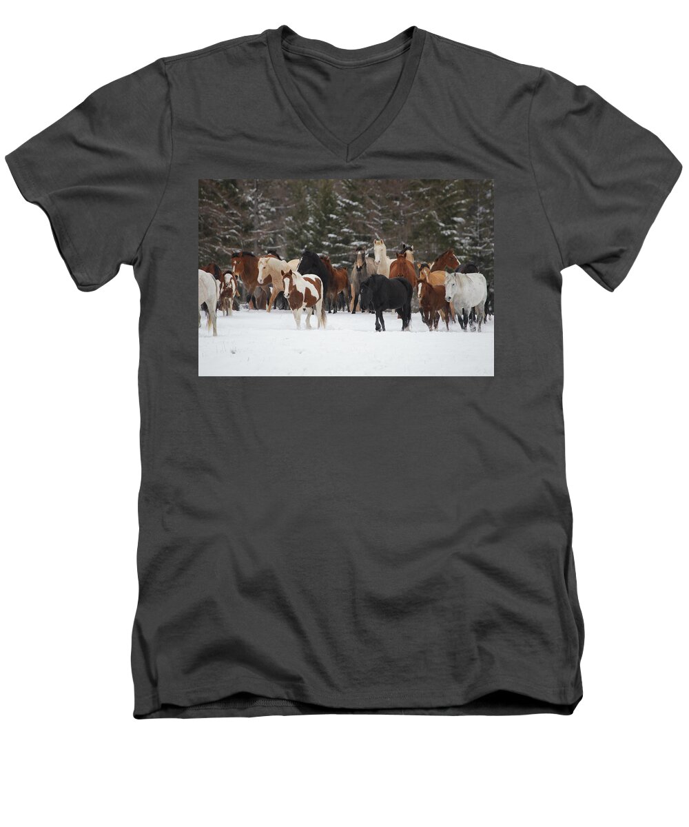 Horses Men's V-Neck T-Shirt featuring the photograph Montana Herd by Diane Bohna