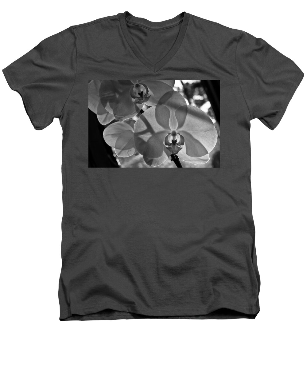 Flower Men's V-Neck T-Shirt featuring the photograph Moth Orchid Backlit by Ron White