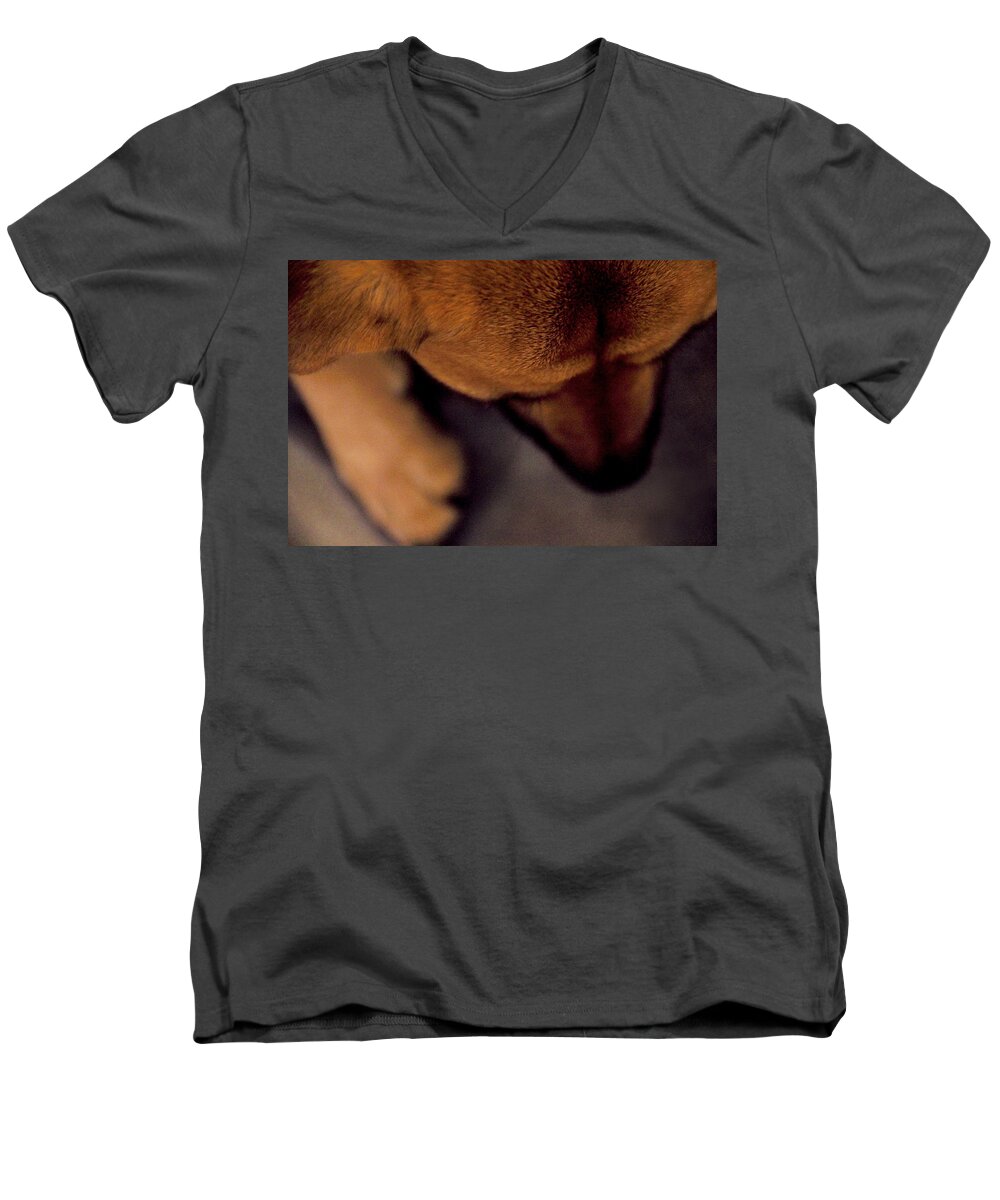 Dog Men's V-Neck T-Shirt featuring the photograph My Soul To Keep by Dana DiPasquale