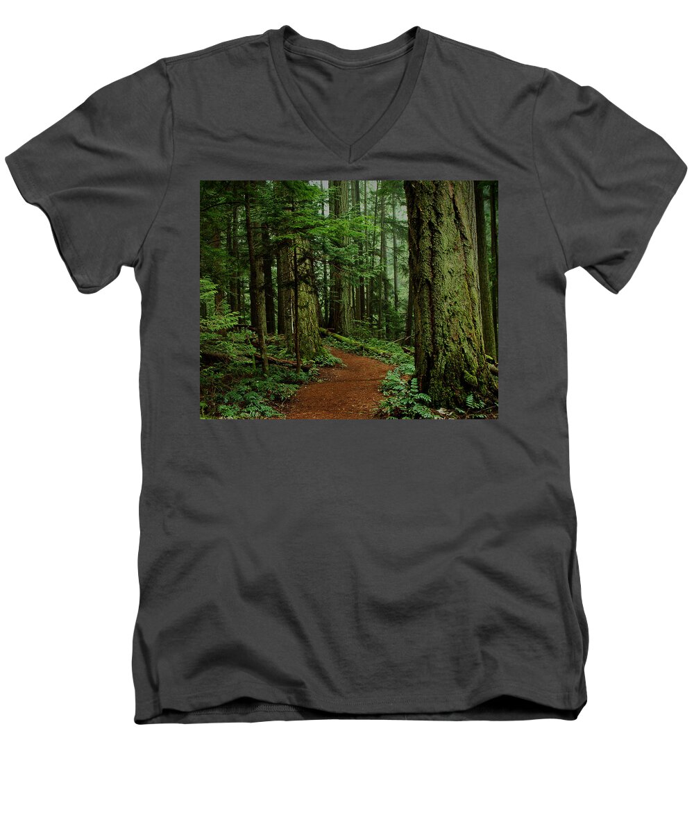 Forest Men's V-Neck T-Shirt featuring the photograph Mystical Path by Randy Hall