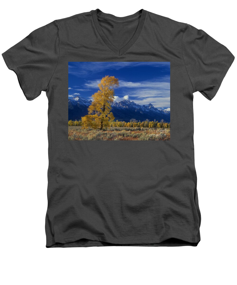 Dave Welling Men's V-Neck T-Shirt featuring the photograph Narrowleaf Cottonwoods Fall Color Teton by Dave Welling