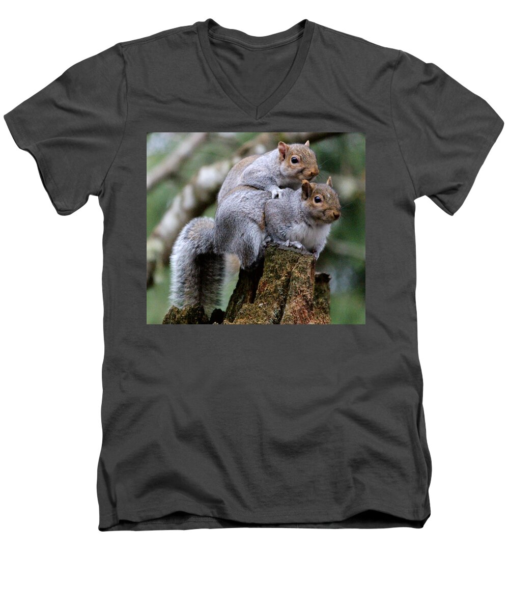 Animals Men's V-Neck T-Shirt featuring the photograph Fifty Shades Of Gray Squirrel #1 by Kym Backland
