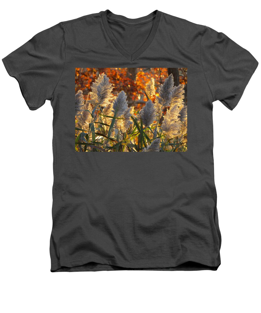 Fall Colors Men's V-Neck T-Shirt featuring the photograph November Lights by Dianne Cowen Cape Cod Photography