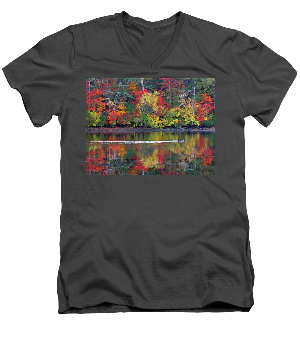 Trees Men's V-Neck T-Shirt featuring the photograph October's Colors by Dianne Cowen Cape Cod Photography