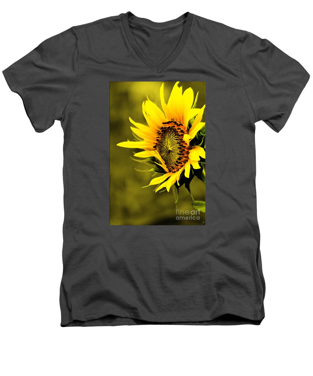 Plant Men's V-Neck T-Shirt featuring the photograph Old Time Sunflower by Sandra Clark