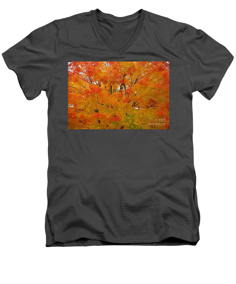 Fall Men's V-Neck T-Shirt featuring the photograph Orange Crush by Robert Pearson