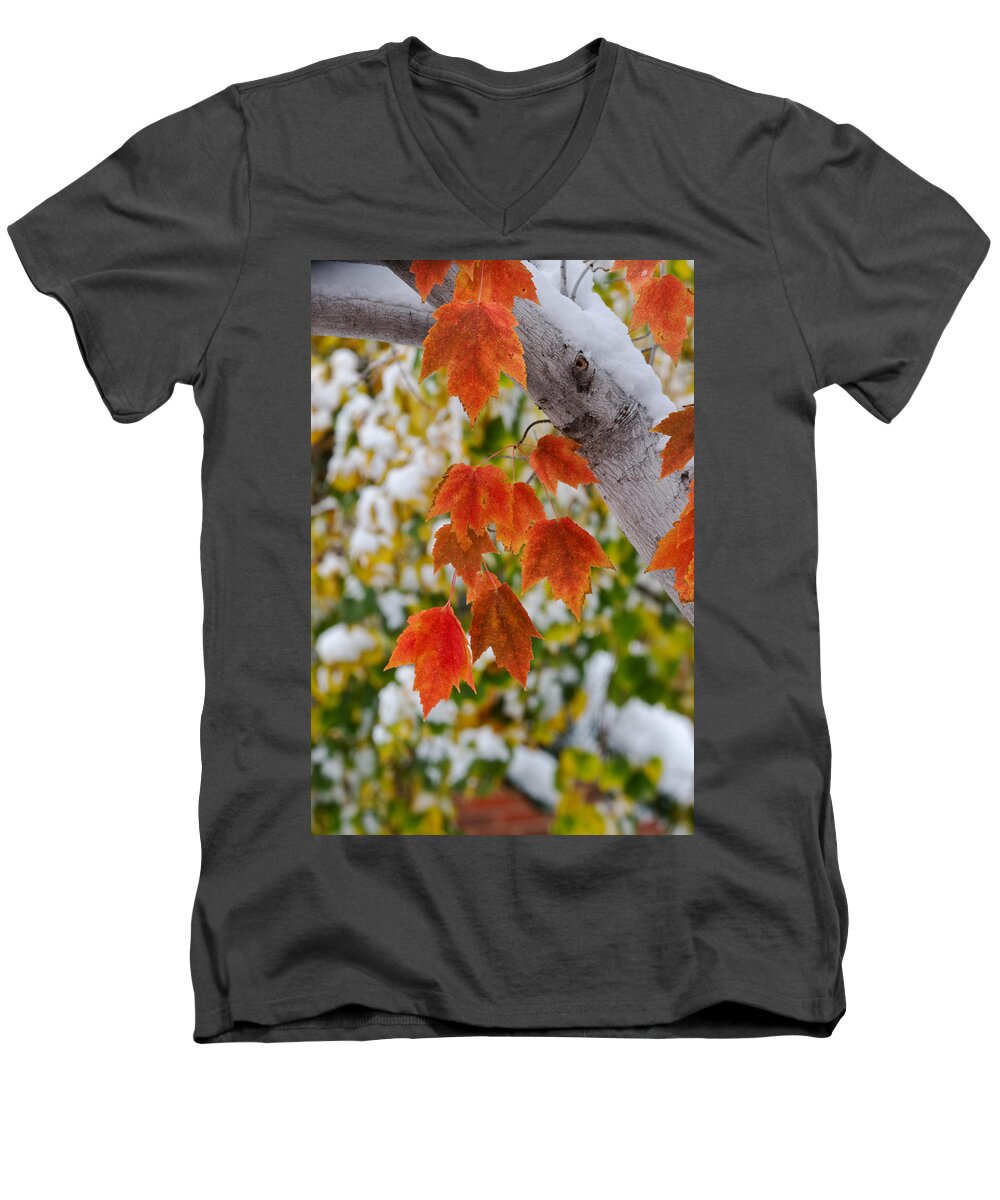 Leaves Men's V-Neck T-Shirt featuring the photograph Orange White and Green by Ronda Kimbrow