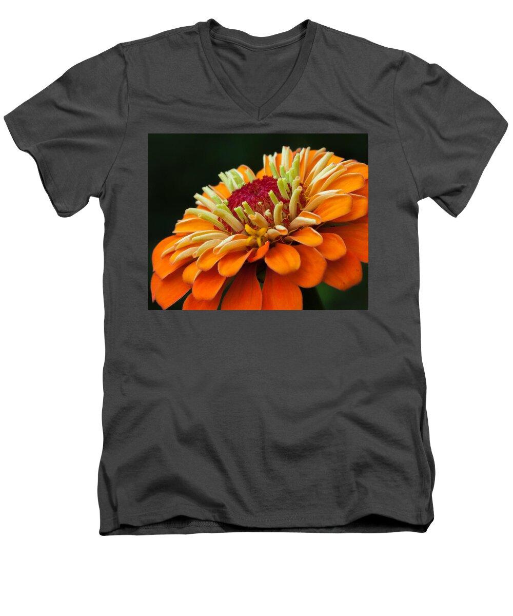Flora Men's V-Neck T-Shirt featuring the photograph Orange Zinnia by Lynne Jenkins