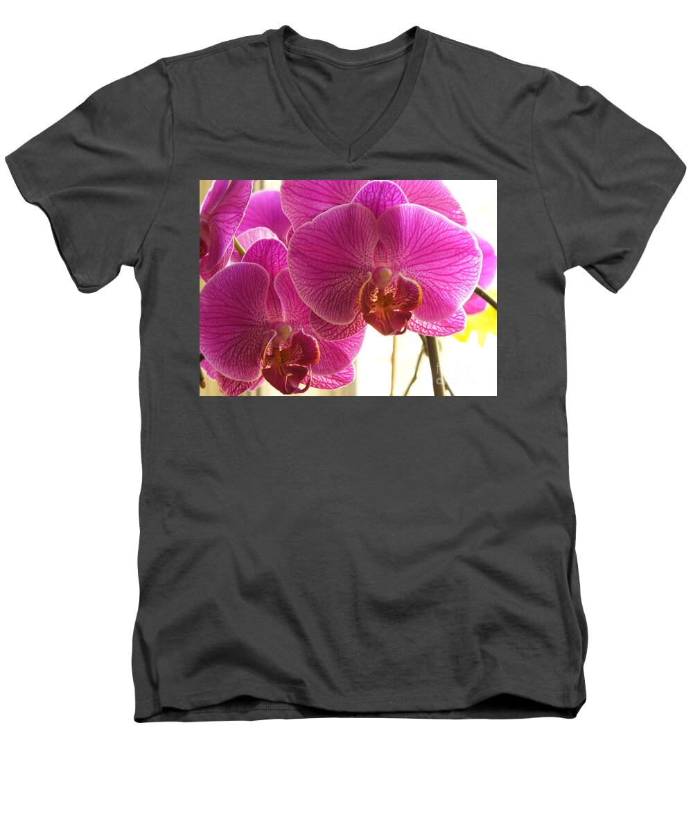 Flower Macro Men's V-Neck T-Shirt featuring the photograph Orchid by Lingfai Leung