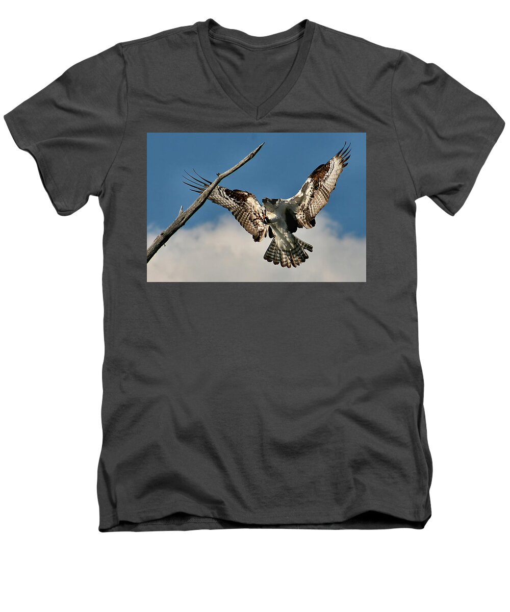 Osprey Men's V-Neck T-Shirt featuring the photograph Osprey landing by Roger Becker