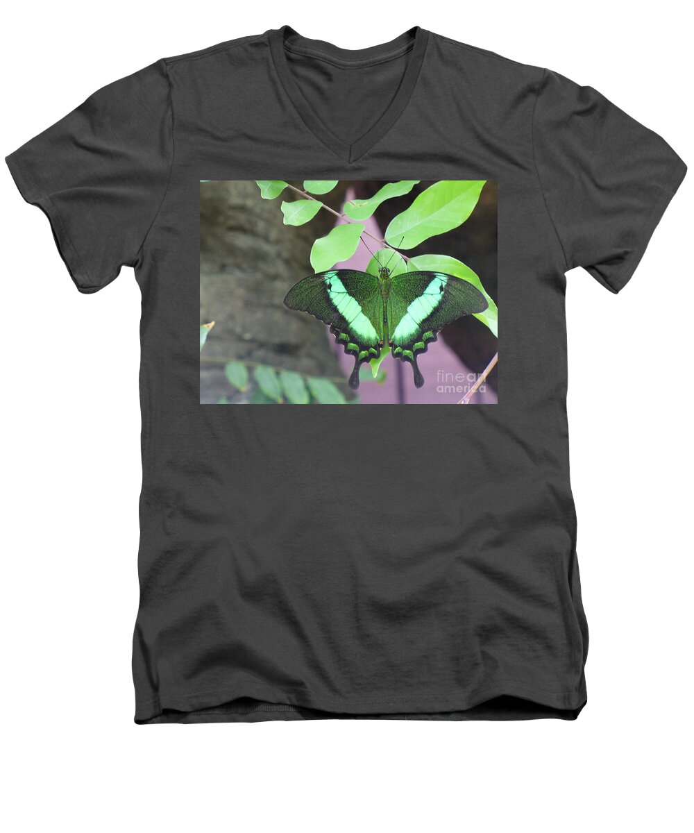Butterfly Men's V-Neck T-Shirt featuring the photograph Peacock Swallowtail by Lingfai Leung