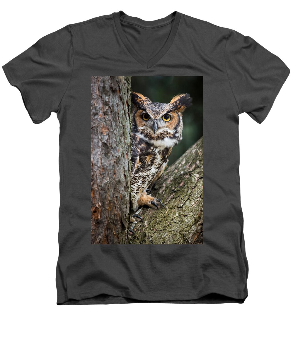 Great Horned Owl Men's V-Neck T-Shirt featuring the photograph Peering Out by Dale Kincaid