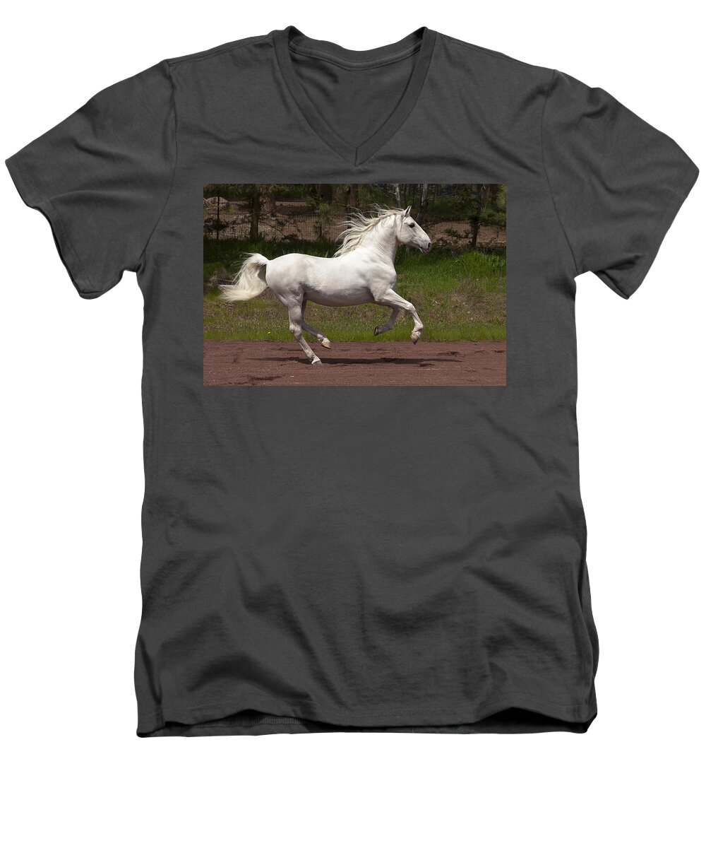 Poetry In Motion Men's V-Neck T-Shirt featuring the photograph Poetry In Motion by Wes and Dotty Weber