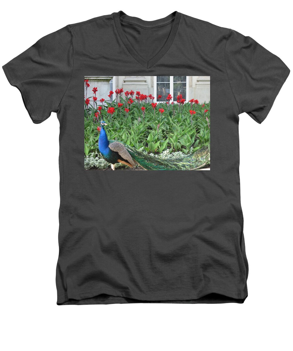 Poland Men's V-Neck T-Shirt featuring the photograph Poland - peacock by Nora Boghossian