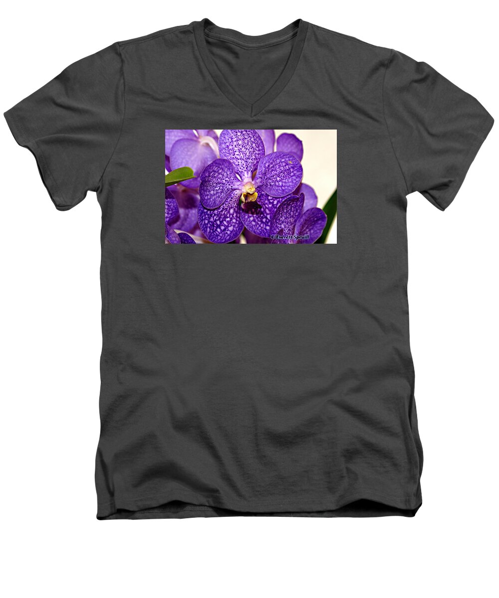 Birmingham Men's V-Neck T-Shirt featuring the photograph Purple Orchid by Everett Spruill