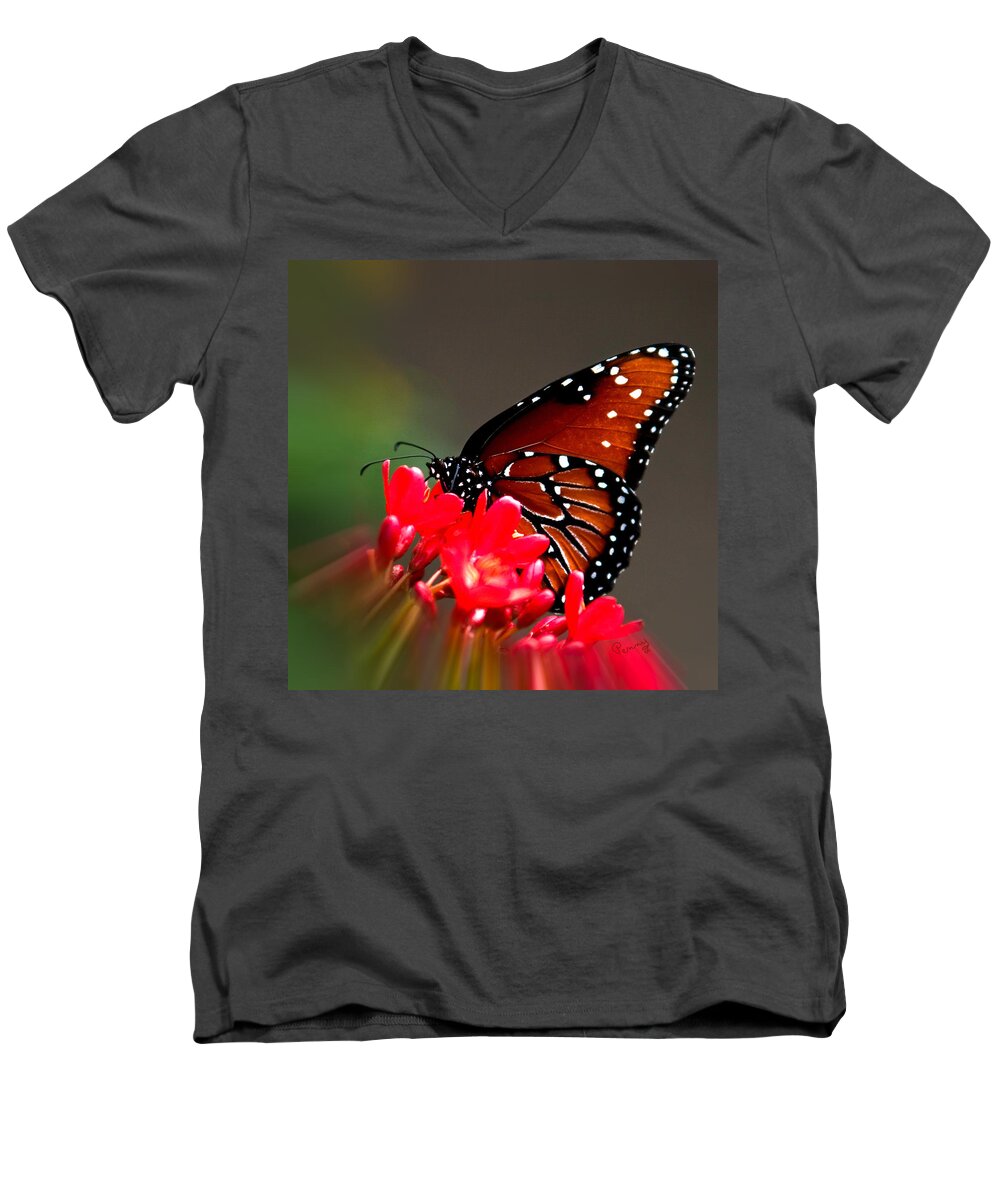 :penny Lisowski Men's V-Neck T-Shirt featuring the photograph Queen Butterfly II by Penny Lisowski