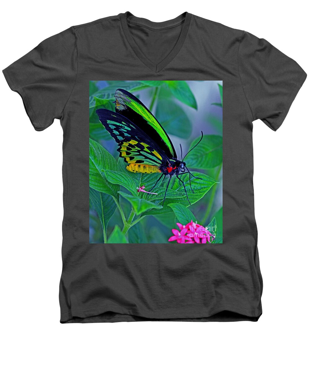 Butterfly Men's V-Neck T-Shirt featuring the photograph Rainbow Butterfly by Larry Nieland