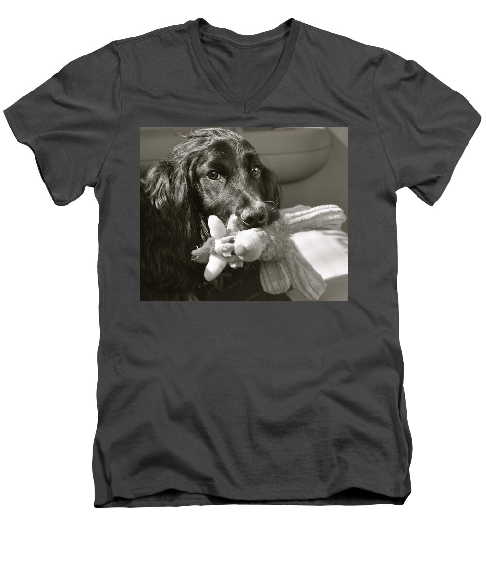 Dog Photographs Men's V-Neck T-Shirt featuring the photograph Ready to Ride by Kristina Deane