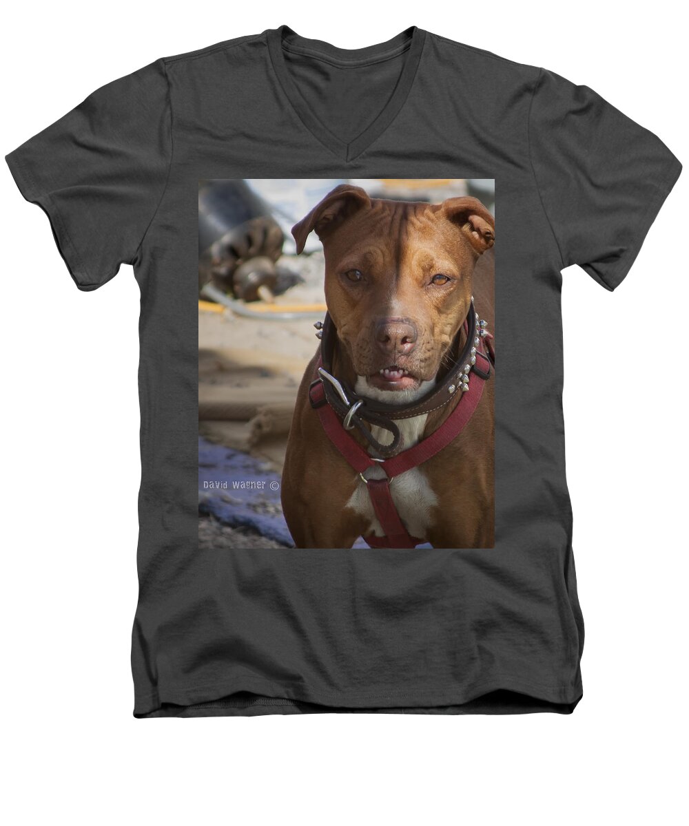 American Pit Bull Terrier Men's V-Neck T-Shirt featuring the photograph Rebuild by David Wagner