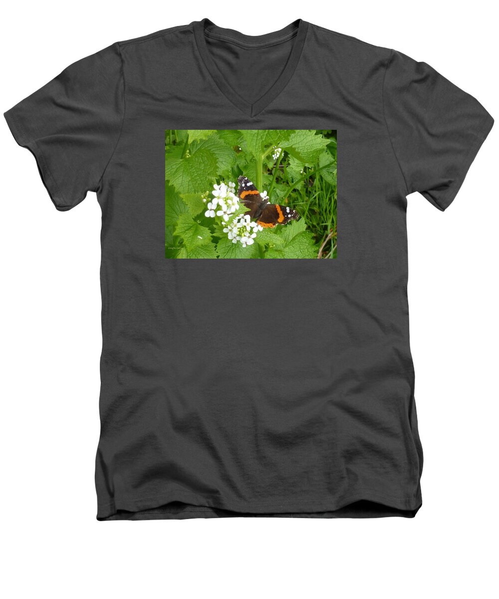 Insect Men's V-Neck T-Shirt featuring the photograph Red Admiral Butterfly by Lingfai Leung