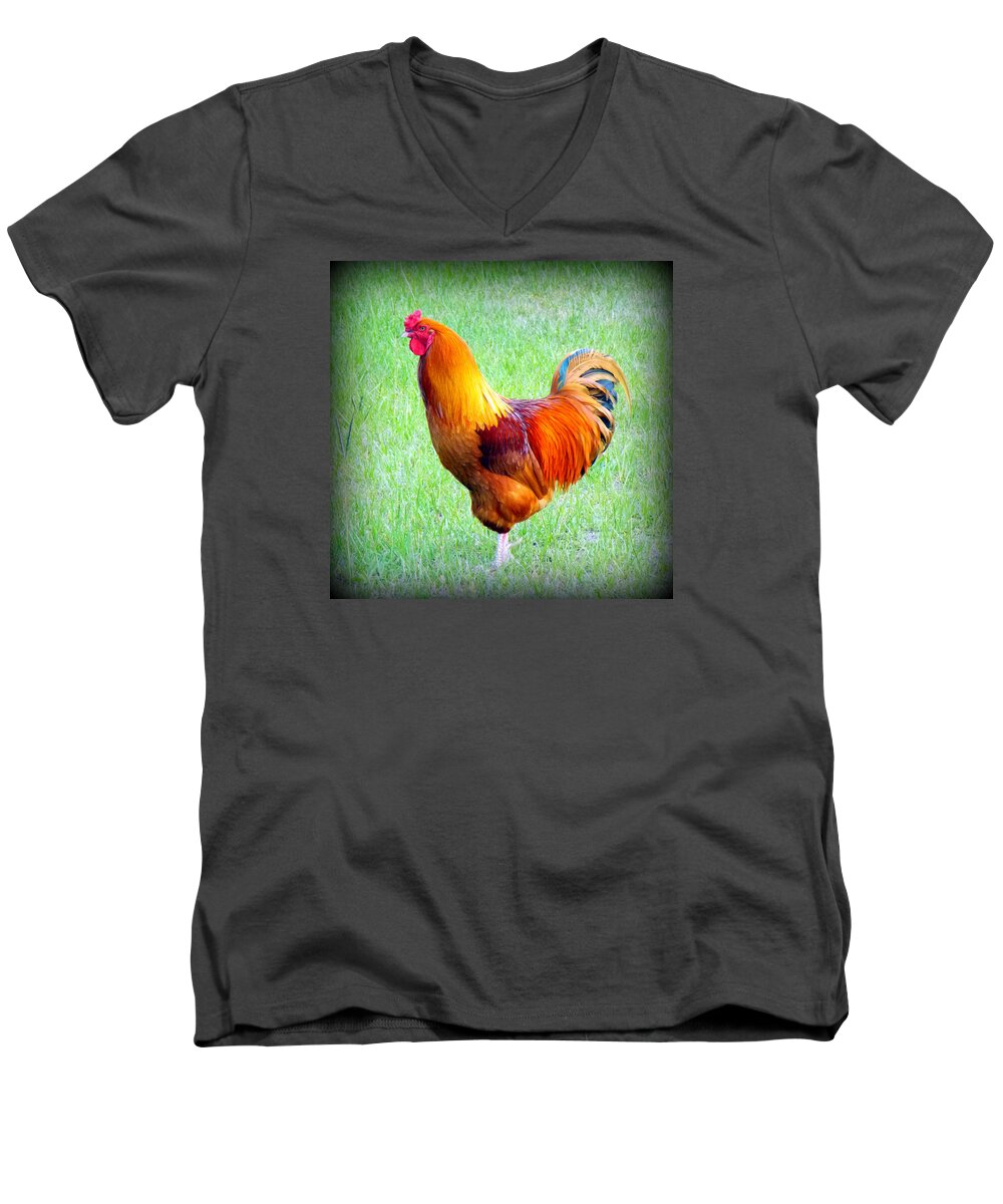 Red Rooster Men's V-Neck T-Shirt featuring the photograph Red Rooster by Sheri McLeroy