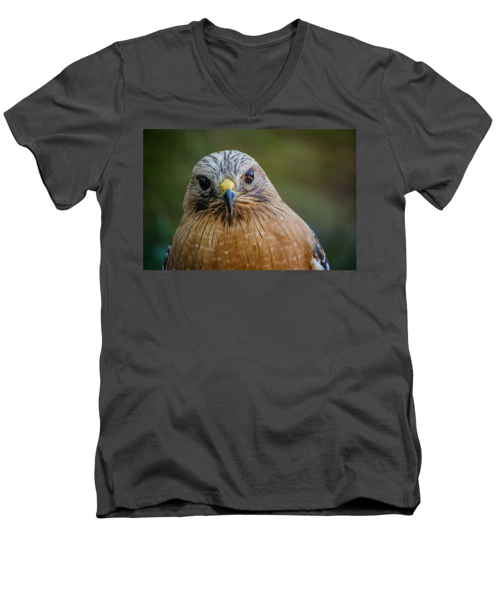 Bird Men's V-Neck T-Shirt featuring the photograph Red Shouldered Hawk by Linda Villers