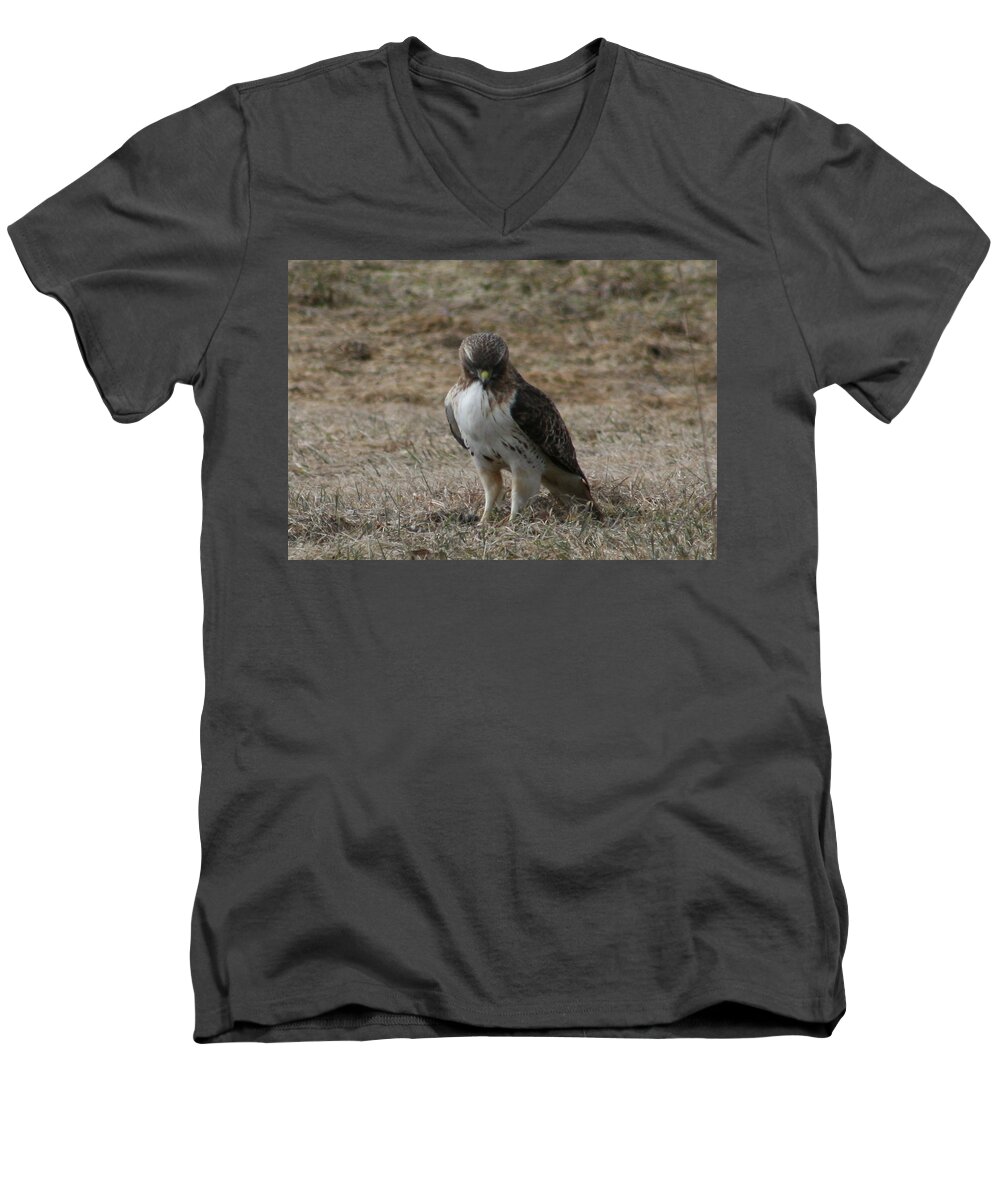 Red Tailed Hawk Men's V-Neck T-Shirt featuring the photograph Red Tailed Hawk by Neal Eslinger