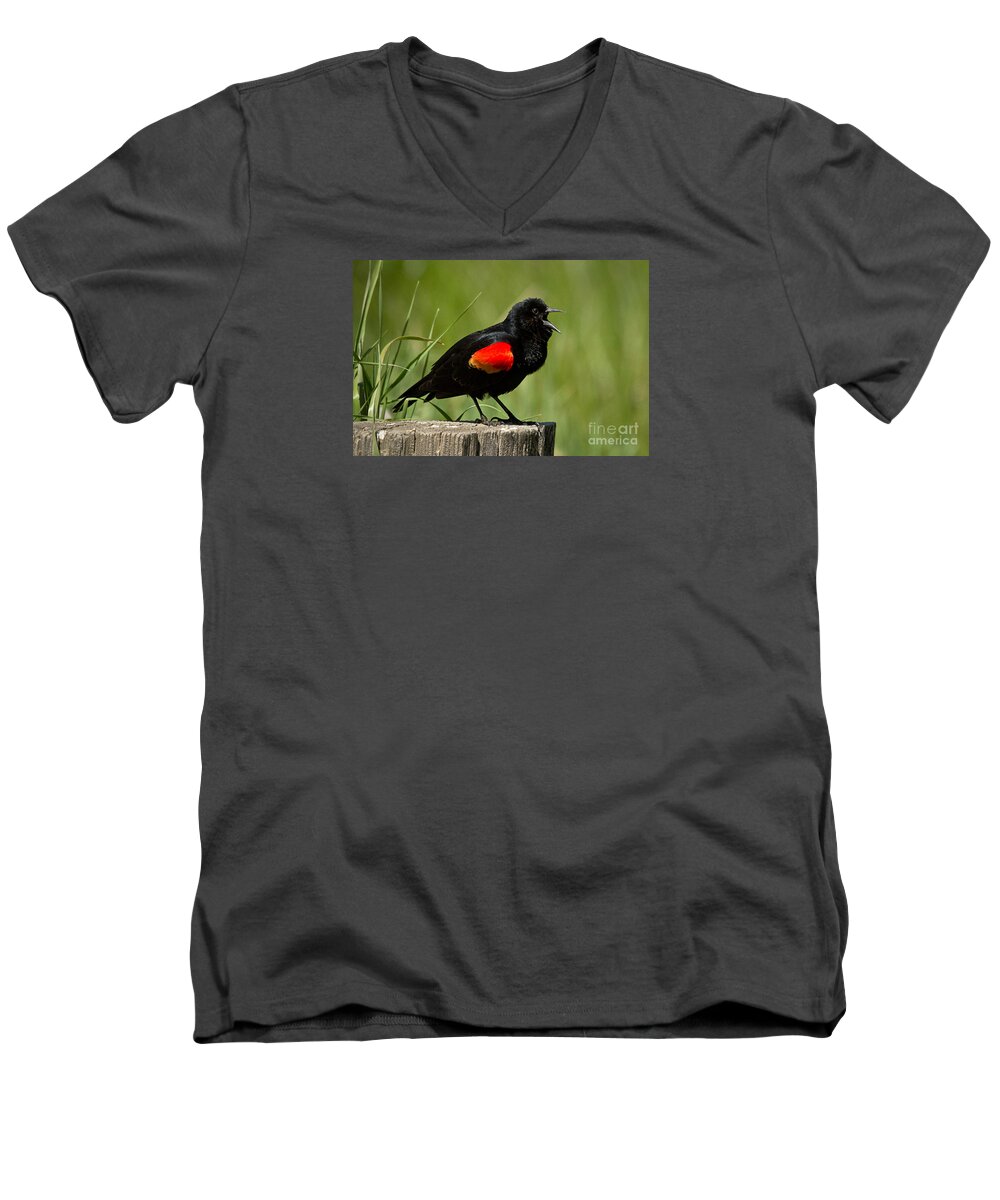 Bird Men's V-Neck T-Shirt featuring the photograph Red-winged Blackbird singing by Alice Cahill