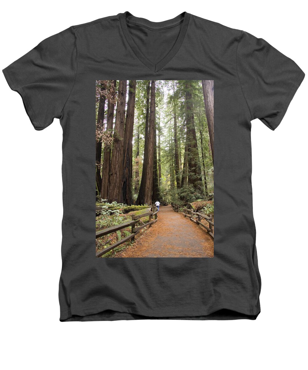 Muir Woods Men's V-Neck T-Shirt featuring the photograph Redwood Trees by Sue Leonard